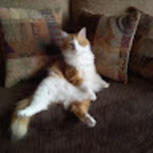 Meet your Posher, Claudette